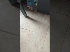 DLX Capilare di platino-iridio medico